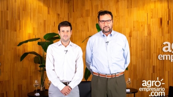 ¿El bioetanol de maíz genera una economía circular competitiva en Argentina?