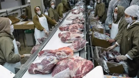 China mantiene activa la demanda de carne, pero los precios cayeron un 20 % en relación con 2022