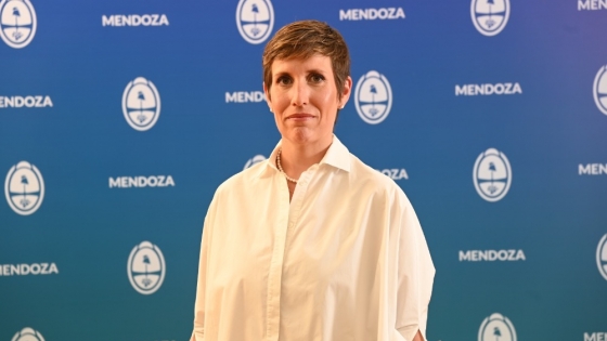 Mendoza extiende la licitación de 17 áreas petroleras y busca reforzar la llegada de inversiones privadas