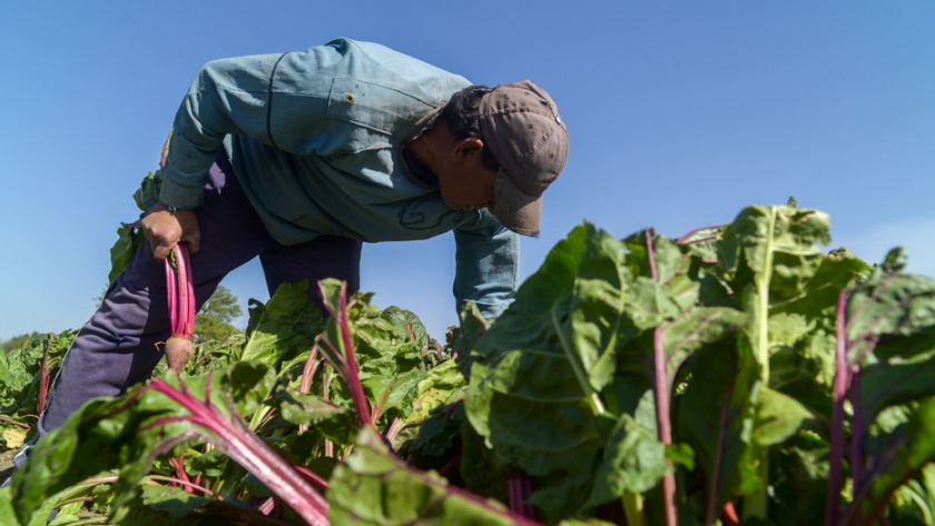 Riacho He-Hé: más de cien productores para obtener RENSPA y RENAF