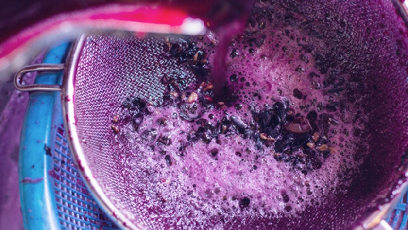 Mendoza anunció el envío del proyecto de ley para la creación de un Banco de Vinos