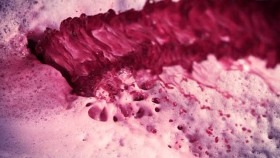 Desarrollan un polvo de vino que sirve para la industria alimenticia