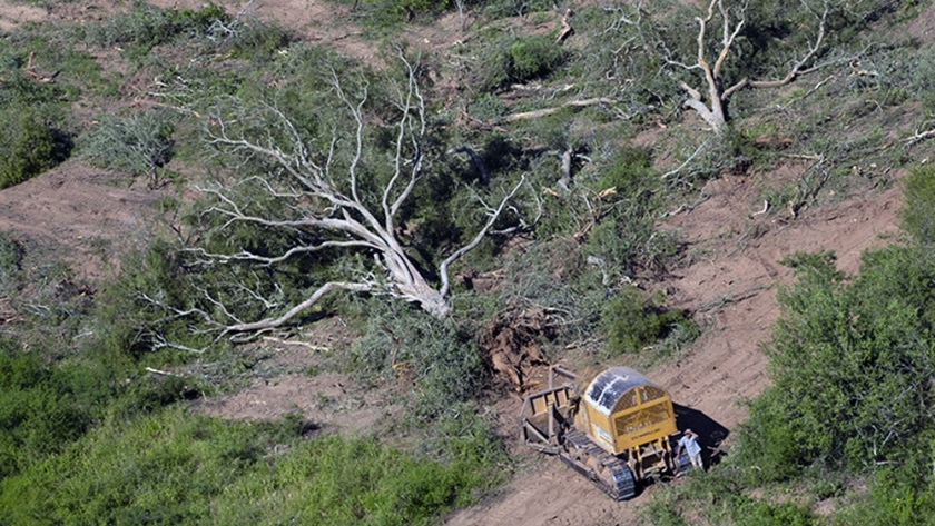 Cambio climático: Argentina no es ajena a la tendencia del calentamiento global y se suma a una campaña