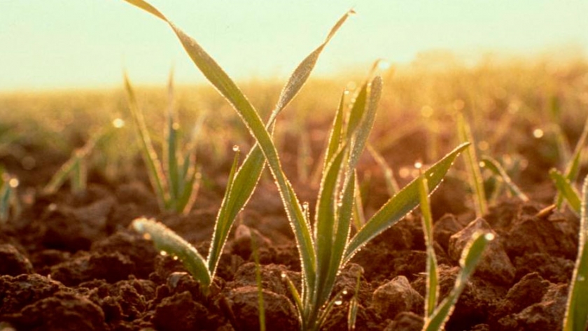 La oportunidad detrás de la huella hídrica: ¿Podemos convertir una ventaja comparativa en una competitiva?