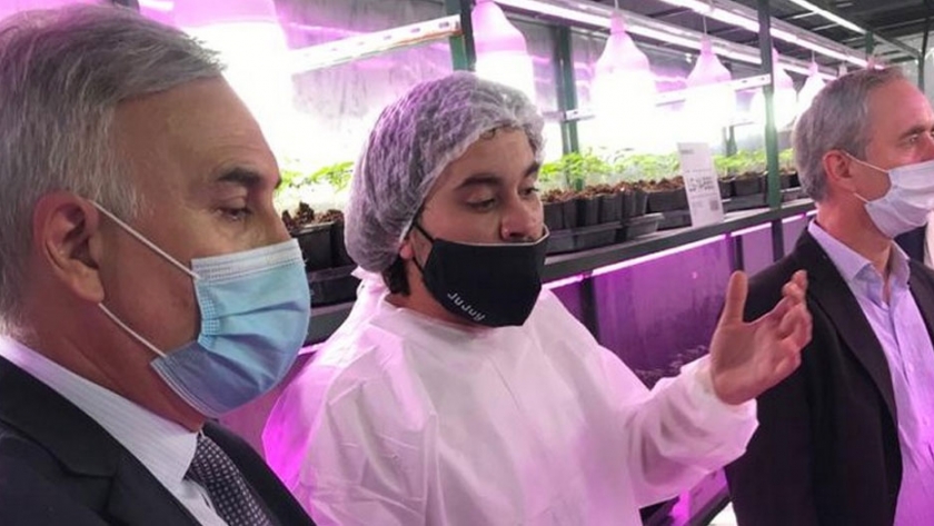 Jujuy inauguró el primer laboratorio de cannabis medicinal del país y Corrientes se propone avanzar en la misma línea de desarrollo productivo
