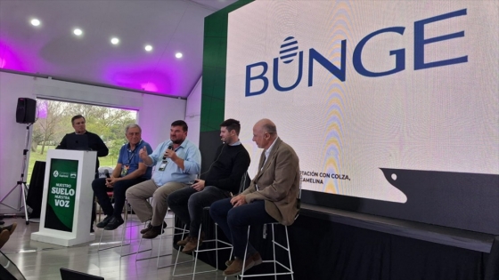 Colza, cártamo y camelina: los cultivos de invierno que buscan sumar renta y eficiencia a las rotaciones