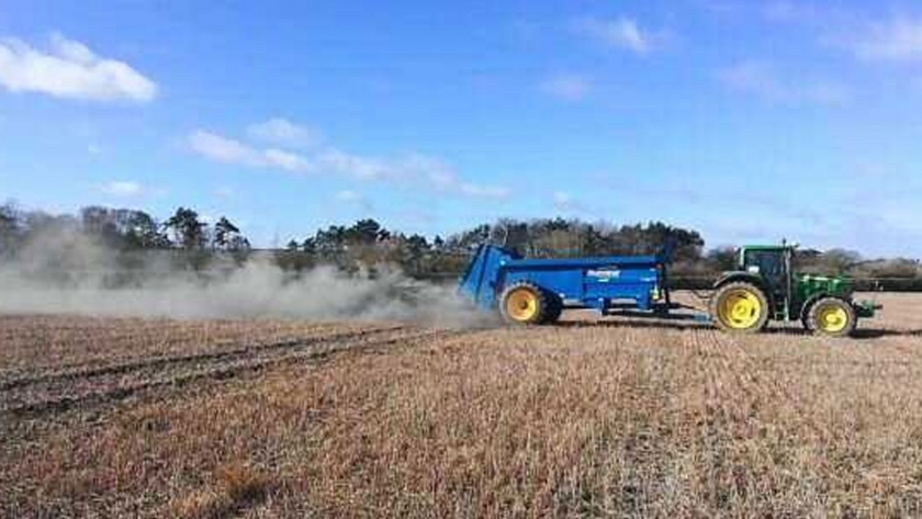 La deforestación y la limpieza del terreno están afectando el rendimiento de maíz de Brasil
