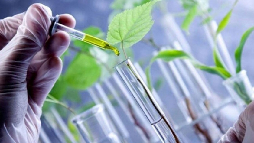 Maestría en Ciencias en Agrobiotecnología