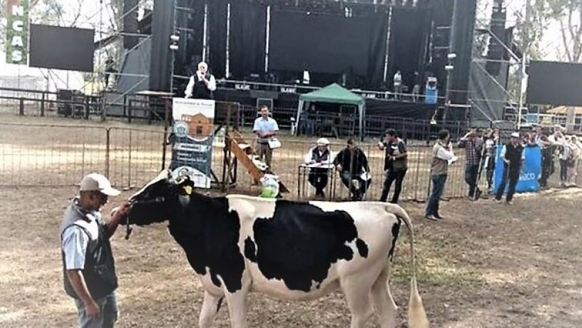 Este año volvería a realizarse la tradicional Expo Láctea