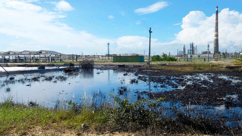 Con hongos, avanzan en la remediación de suelos contaminados con hidrocarburos