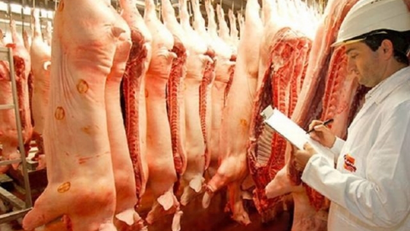 Cayó el precio de la carne de cerdo