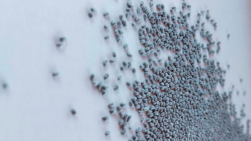 Lanzan una semilla de alfalfa con novedosa tecnología de pildorado