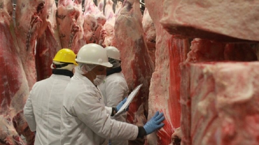 Carne: peligra el volumen de exportaciones por las exigencias del Gobierno