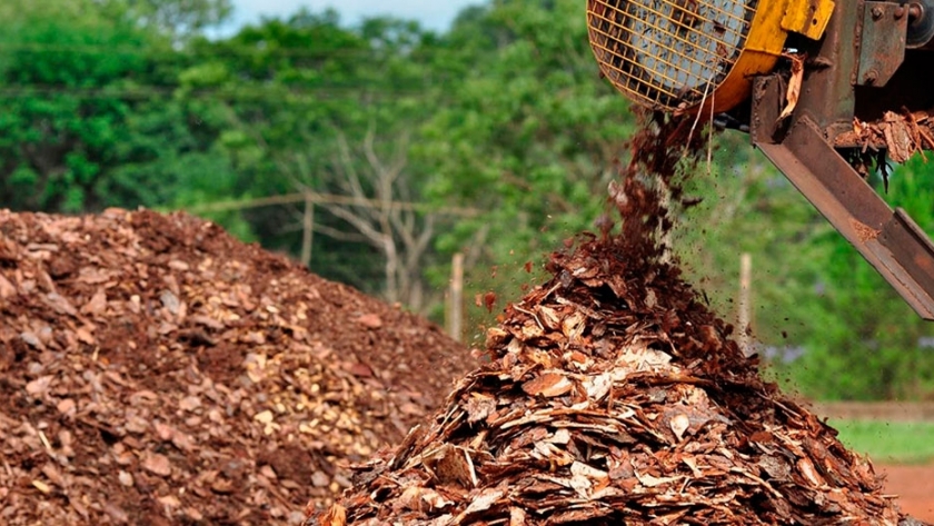Buscan utilizar residuos agroforestales como recursos para impresiones 3D