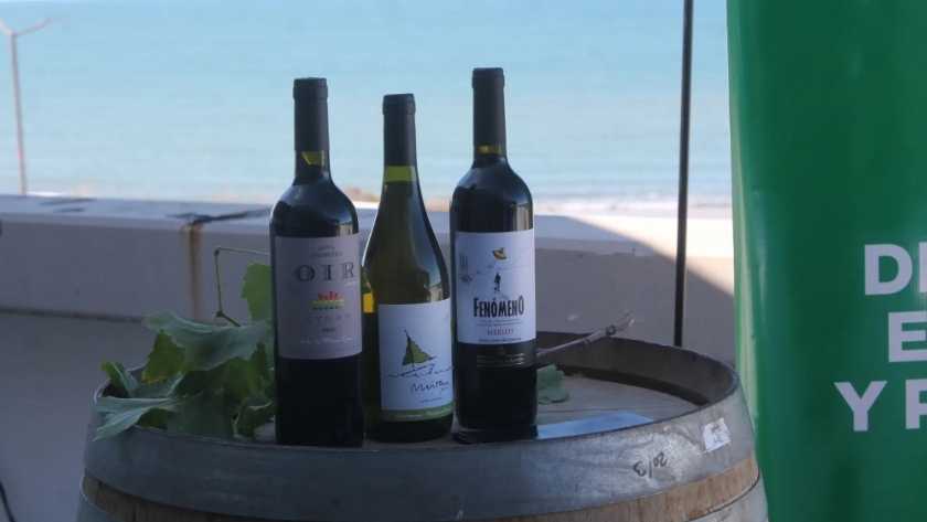 ¿Cómo criar vinos en el mar?
