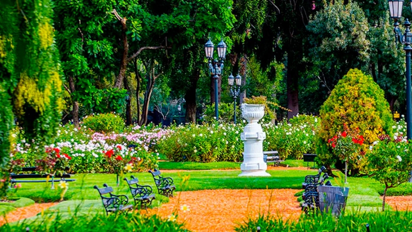 Del Rosedal de Palermo al mundo