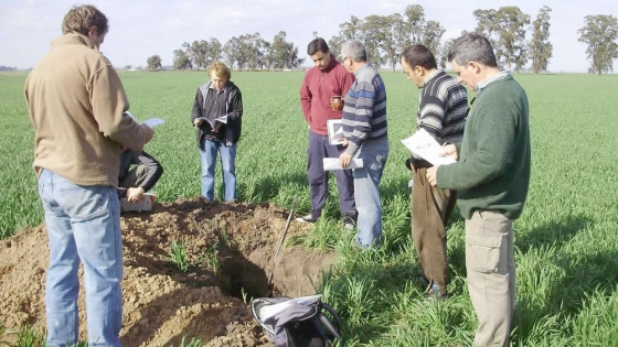Elaboran un mapa que revela la salud del suelo del norte argentino