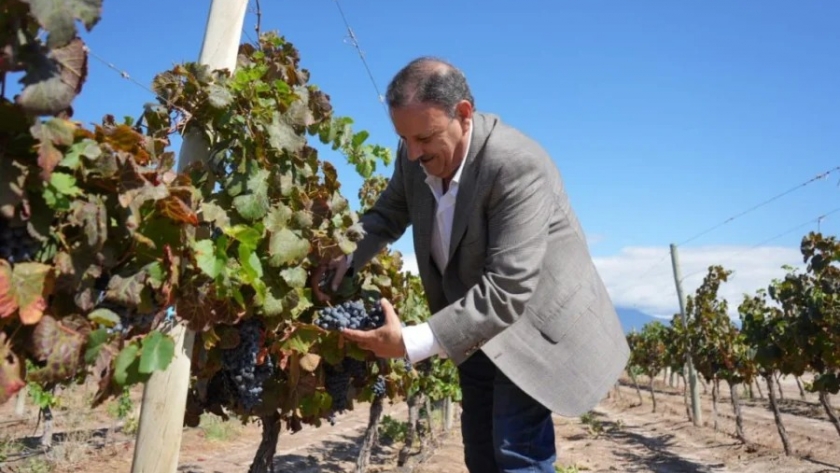 El gobernador Ricardo Quintela participó del inicio de la Vendimia 2024 en Aminga