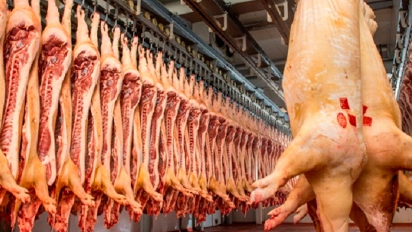 El sector porcino argentino, ¿está en condiciones de producir con el mejor estándar?
