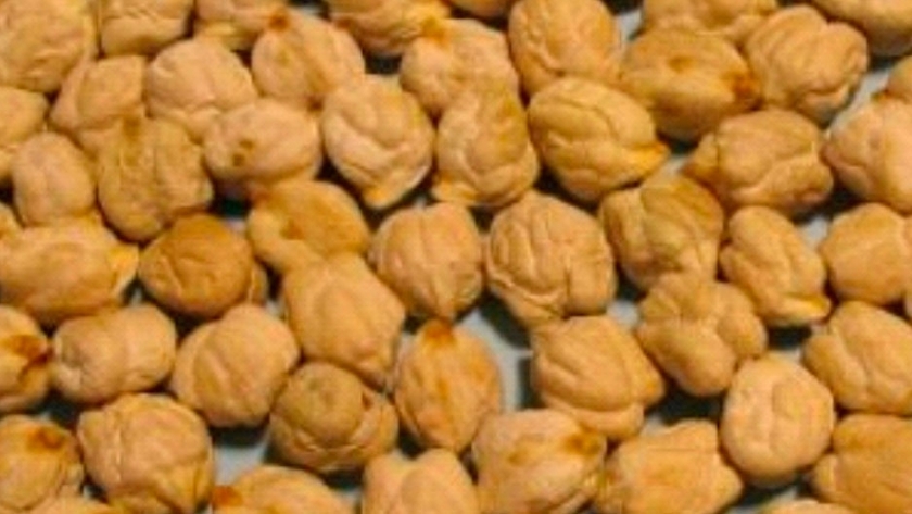 Los garbanzos tienen calidad de exportación