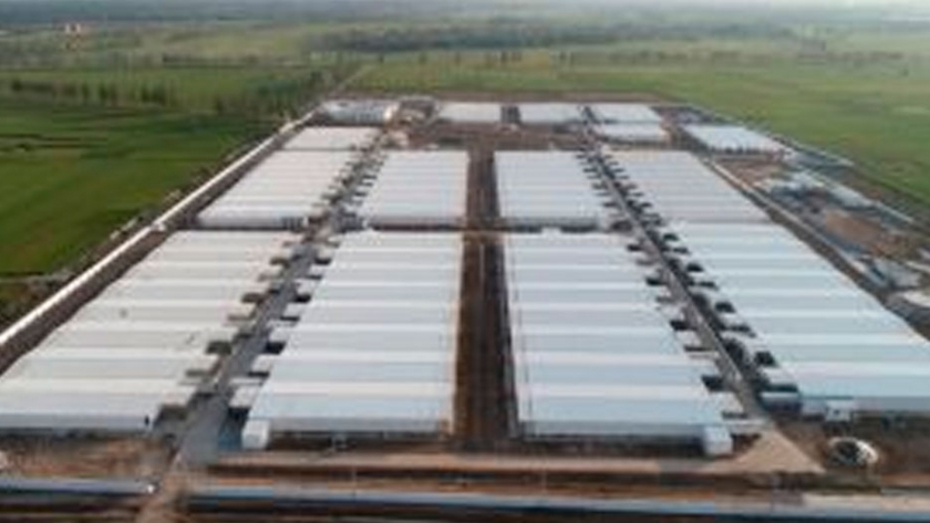 Construyen la mayor granja porcina del mundo: tendrá 84.000 madres