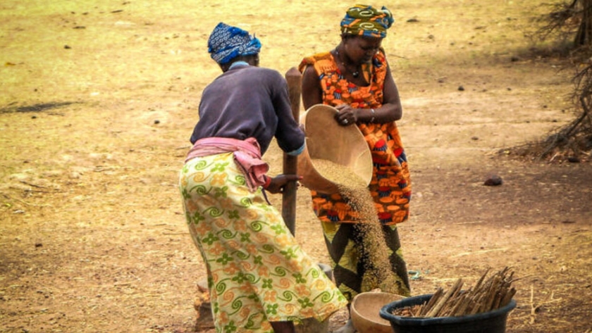 ¿Cuál será el futuro para los agricultores de África?