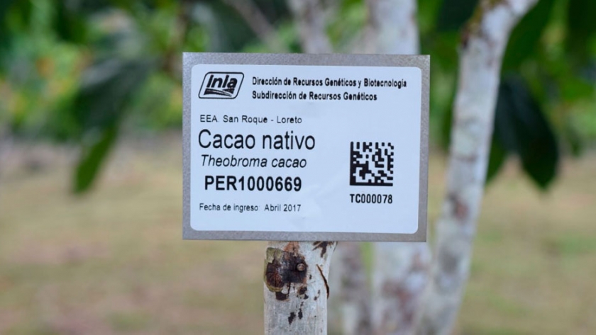 Inia identificará los recursos genéticos de la agrobiodiversidad con códigos QR