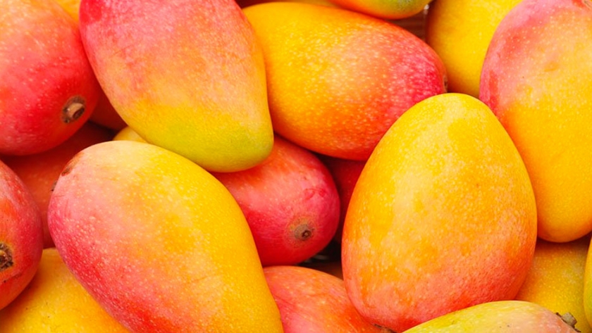 Transforman desperdicio en mango en biopolímero