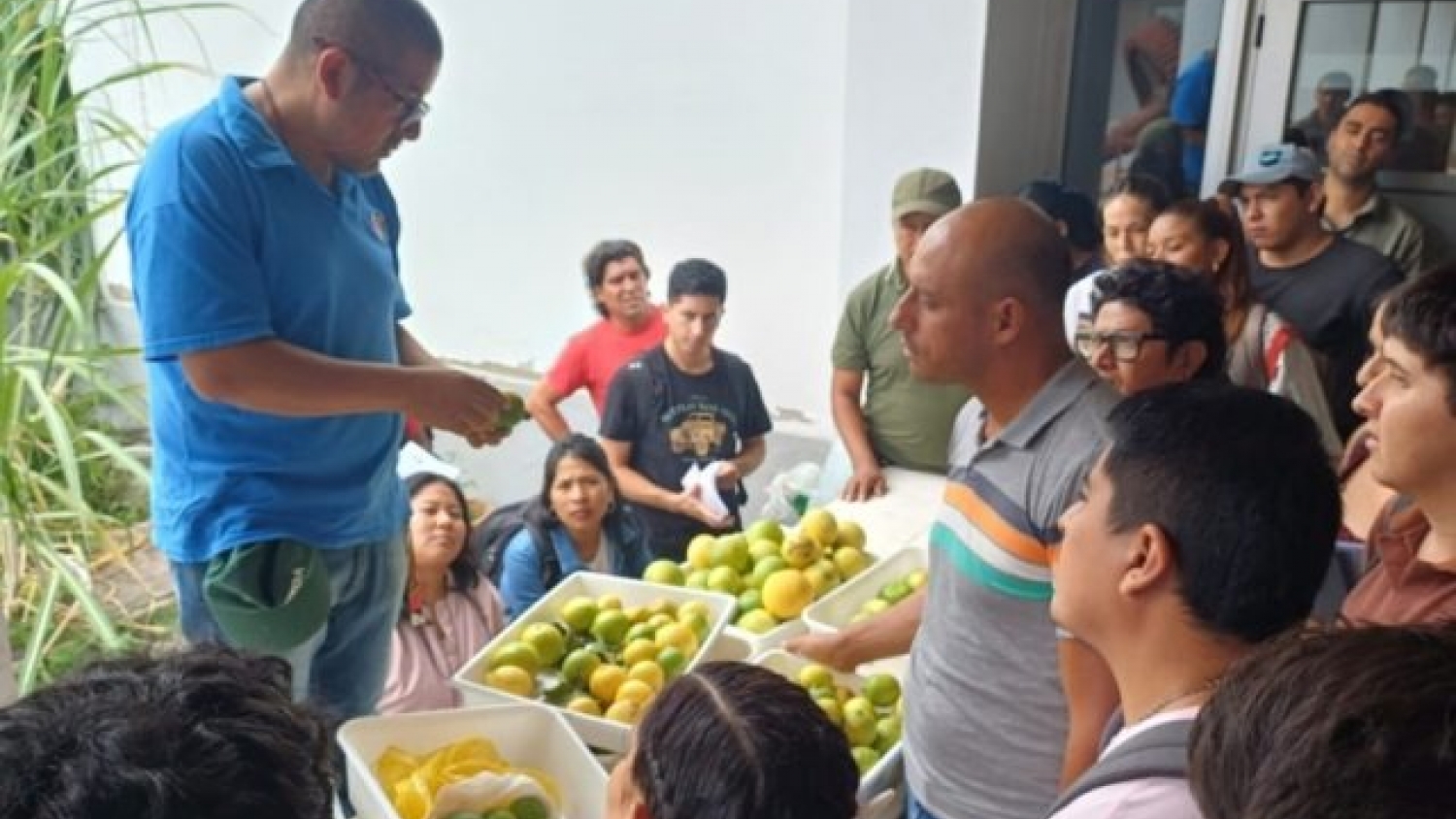 Forman inspectores en el NOA para reforzar la calidad y exportación de cítricos