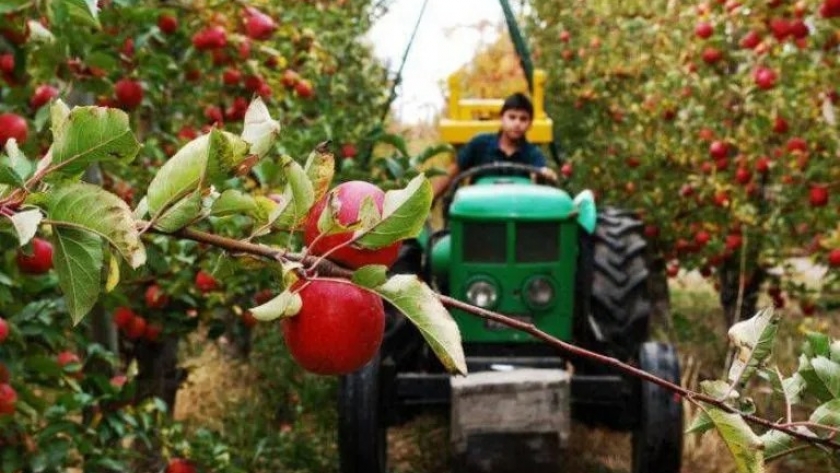 PAR Agroinsumos: se abre una nueva inscripción para su financiamiento