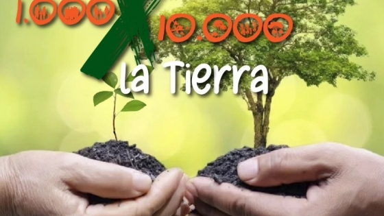 Agricultura Familiar: Presentaran un proyecto de reforestación de 10 mil árboles en áreas rurales
