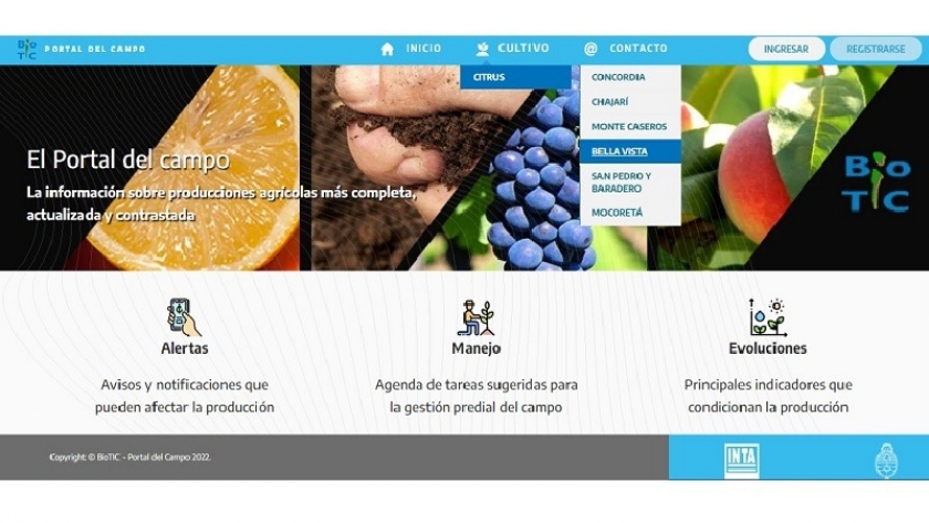 HLB: presentan un sistema de alertas personalizable