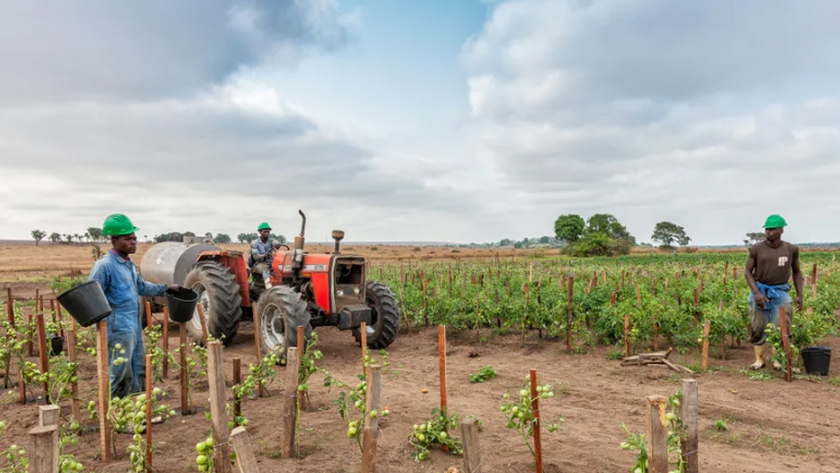 Los tractores pueden cambiar la agricultura de buenas y malas: lecciones de cuatro países africanos