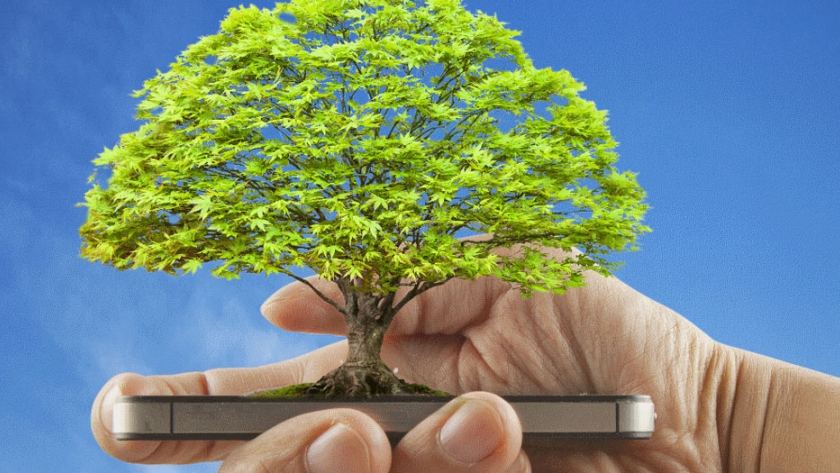 Digitalización del sector agropecuario se hace realidad con el uso de apps y plataformas