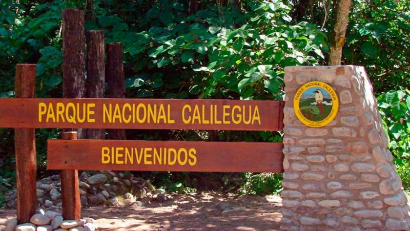 Proceso de remediación del Parque Nacional Calilegua