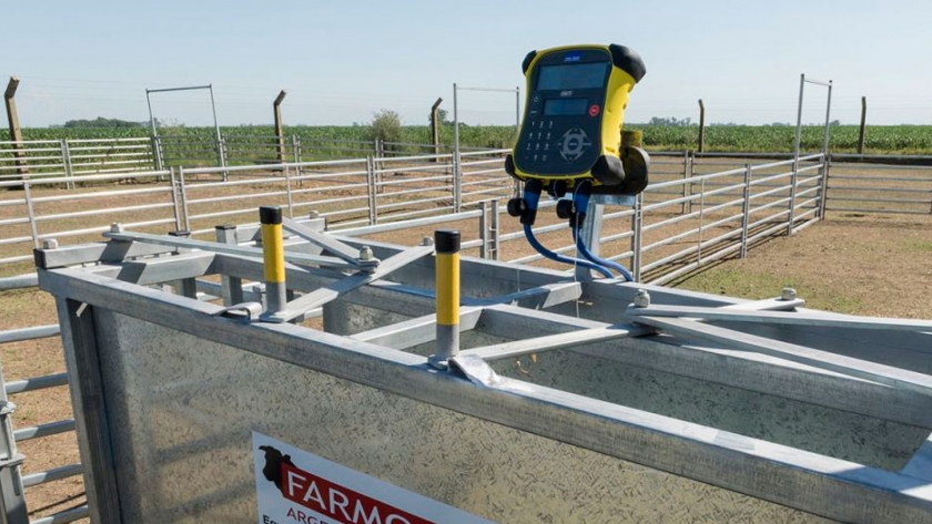 Balanza y casillas de ovinos, de Farmquip