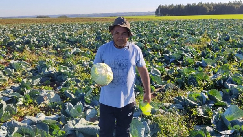 Microseguro agrícola, un aliado para los pequeños productores