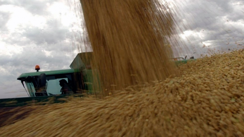 En marzo 2020 ingresaron más de US$ 1.000 millones por exportaciones del agro