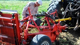 INTA presentó una alternativa para la cosecha mecánica de batata en Entre Ríos