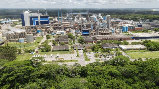 Ejemplo de excelencia: Brasil impulsa la industria mundial de la celulosa y posiciona al sector forestal del Cono Sur