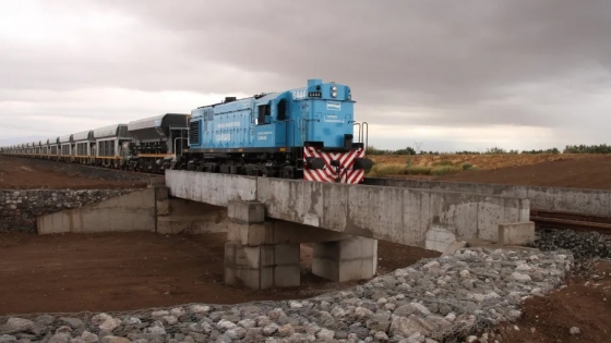 De San Juan a Vaca Muerta: marcha un nuevo proyecto para un tren de cargas
