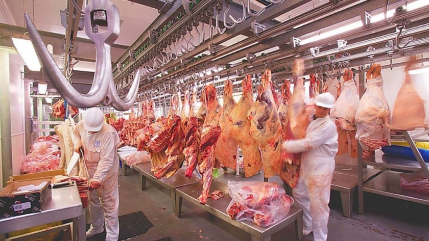 Informe de ABC: Exportaciones de carnes bovinas