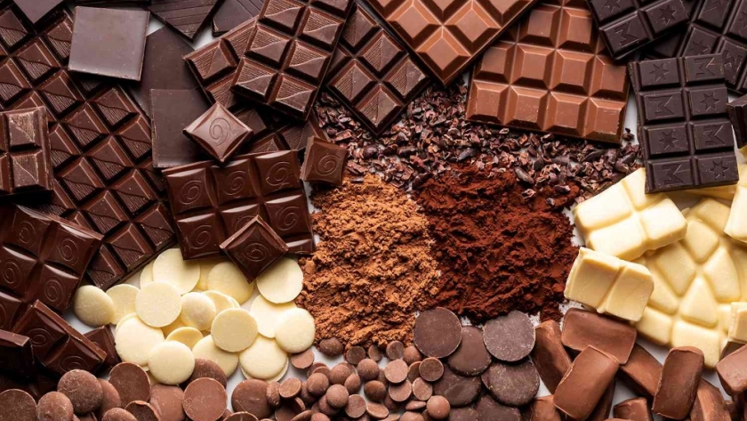 Descubriendo el mundo del chocolate