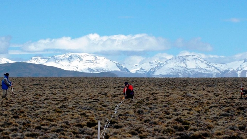 La red de Monitoreo Ambiental en Regiones Áridas y Semiáridas disponible en la base de datos de la revista Nature