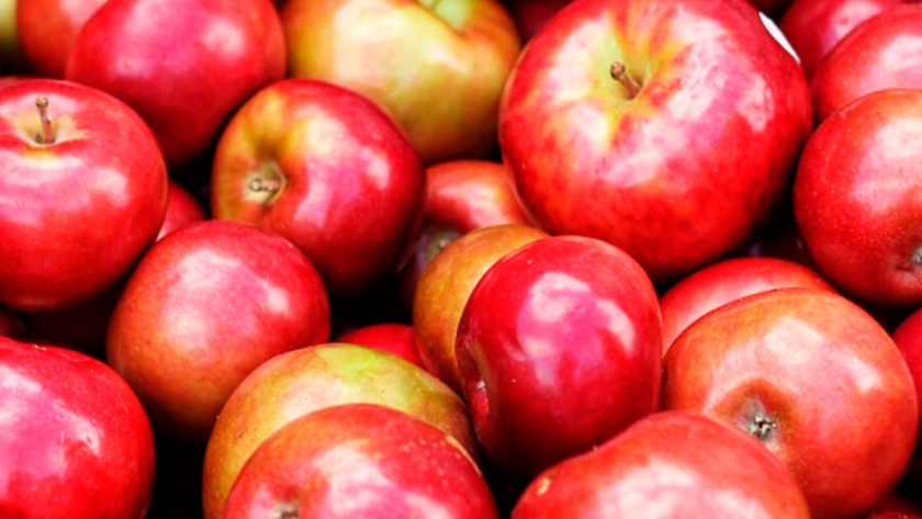 El precio de la manzana: en octubre, los consumidores pagaron 13 veces más de lo que cobró el productor