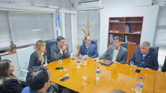 Salta busca garantizar previsibilidad energética para la industria