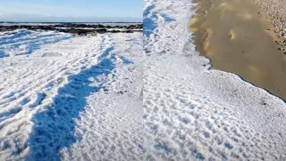 El mar de Tierra del Fuego se congela