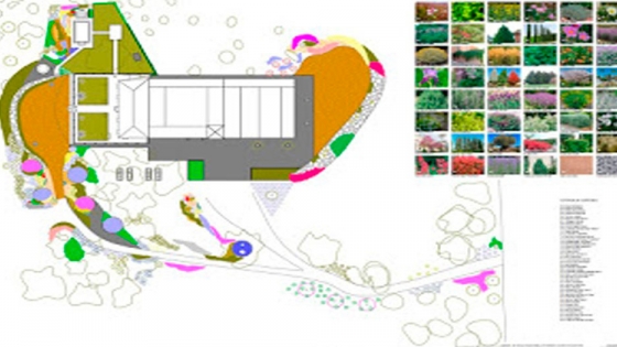 <Tutorial: planos de jardinería para proyectos de paisajismo en 7 pasos