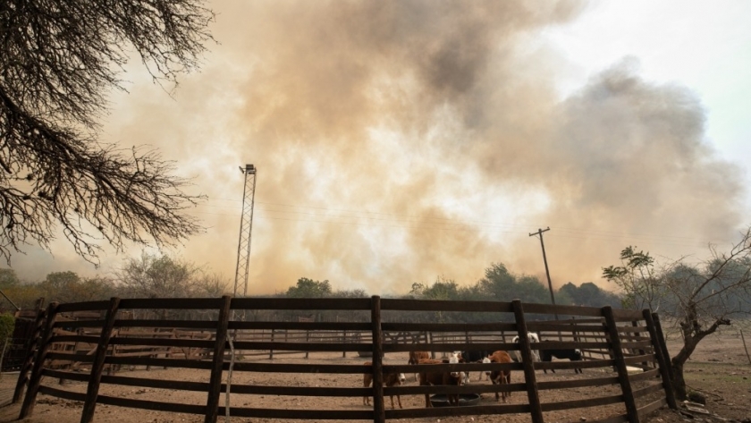 Incendios: Córdoba solicitó a Nación homologar el decreto de emergencia agropecuaria