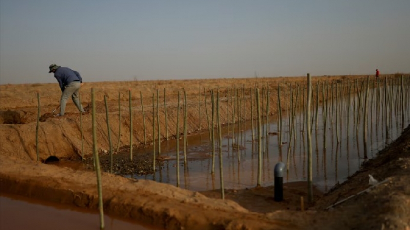 China enfrenta desafíos en su objetivo de seguridad alimentaria por problemas de tierra, suelo y agua